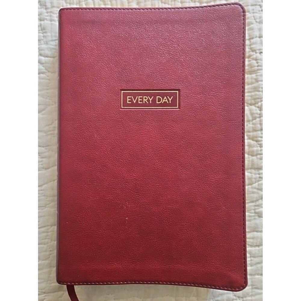 CSB Every Day with Jesus Daily Bible Brown LeatherTouch 2020 Holman NEW